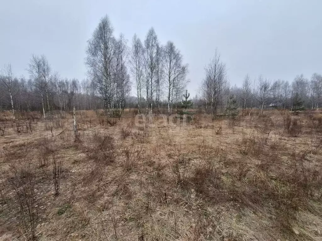 Участок 20 сот. (личное подсобное хозяйство (лпх)) - Фото 0