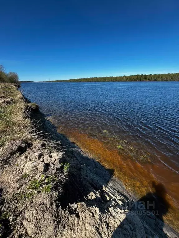 Участок в Ленинградская область, Лодейное поле ш. Ленинградское, 60 ... - Фото 1