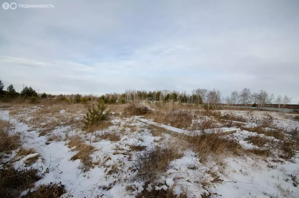 Участок в село Сингуль Татарский, Вербная улица (1767 м) - Фото 2