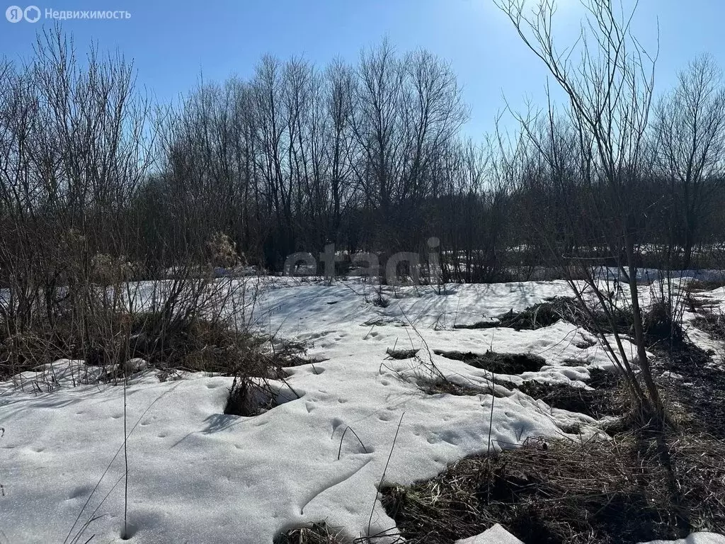 Участок в Ярославль, 7-я Забелицкая улица (6 м) - Фото 2