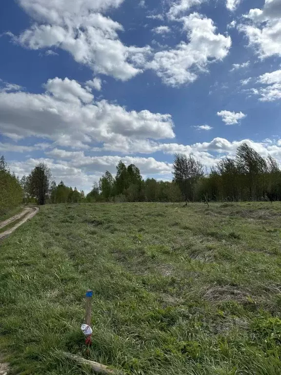 Участок в Нижегородская область, Кстовский муниципальный округ, с. ... - Фото 0