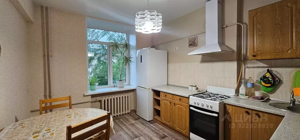 1-к кв. Удмуртия, Ижевск Пушкинская ул., 206 (34.0 м) - Фото 2