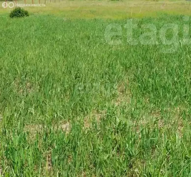 Участок в посёлок Добринка, Новая улица (14 м) - Фото 1