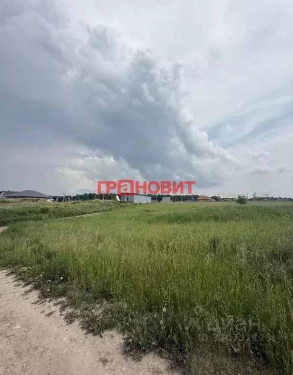 Участок в Новосибирская область, Новосибирский район, Морской ... - Фото 0