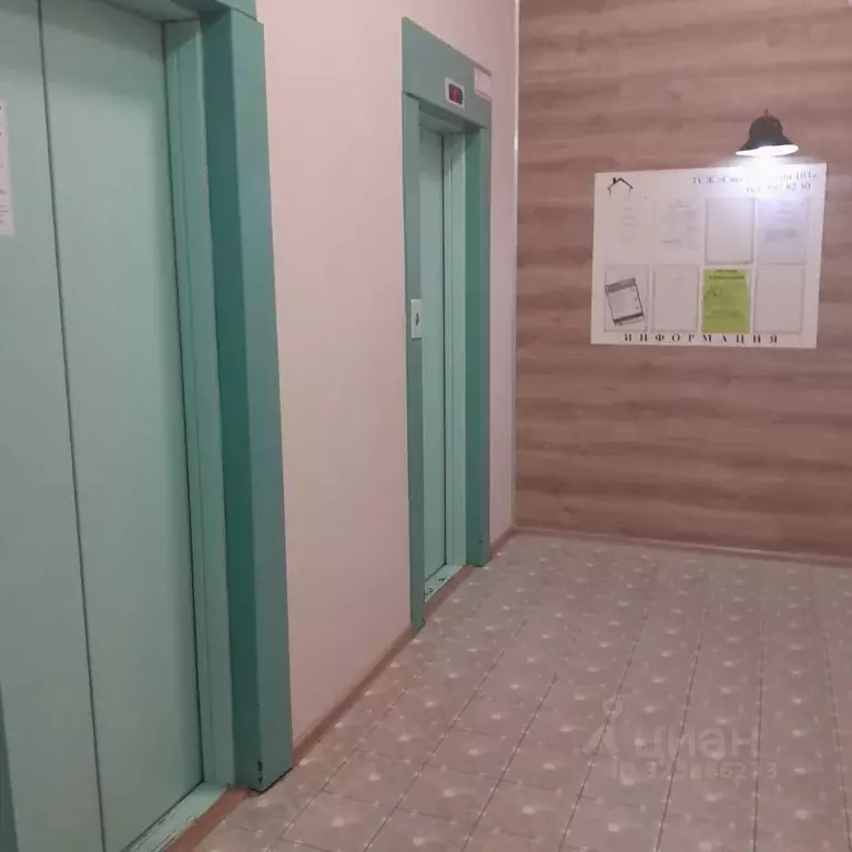 Студия Санкт-Петербург Светлановский просп., 103 (27.0 м) - Фото 2