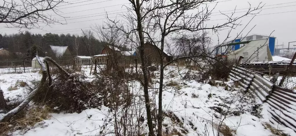 Дом в Московская область, Щелково городской округ, Заозерный СНТ ул. ... - Фото 1