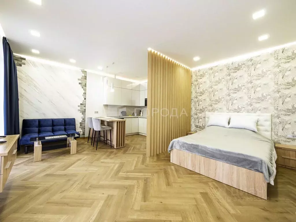 Студия Новосибирская область, Новосибирск Советская ул., 75 (40.7 м) - Фото 1