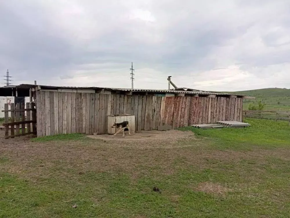 Участок в Самарская область, Октябрьск Светлая ул. (4200.0 сот.) - Фото 1