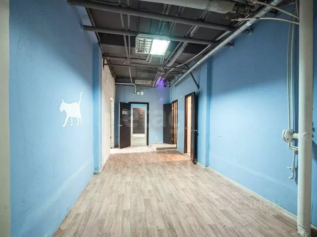 Помещение свободного назначения в Новосибирская область, Новосибирск ... - Фото 1