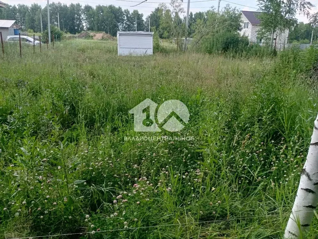 Участок в Новосибирская область, Новосибирский район, Станционный ... - Фото 0
