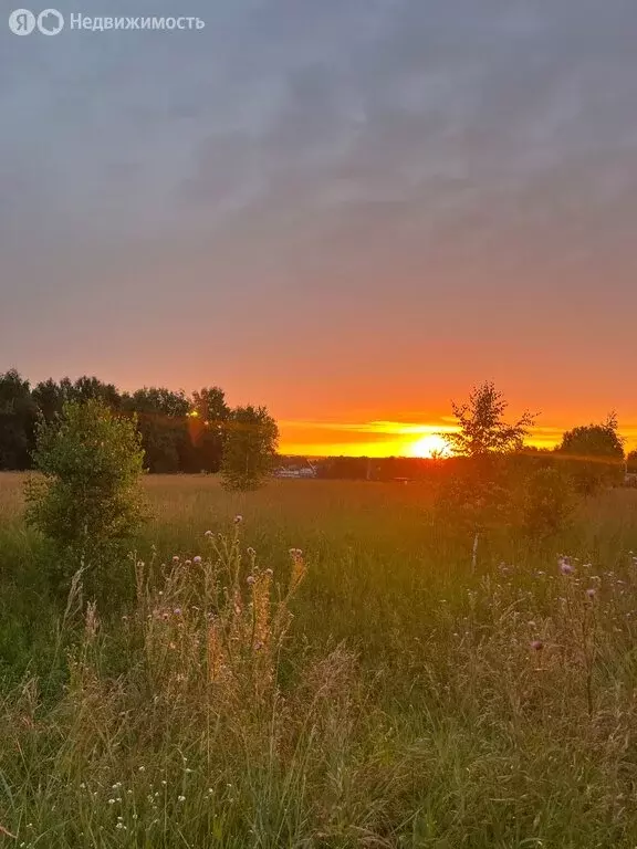 Участок в Кемеровский муниципальный округ, село Ягуново (10 м) - Фото 1