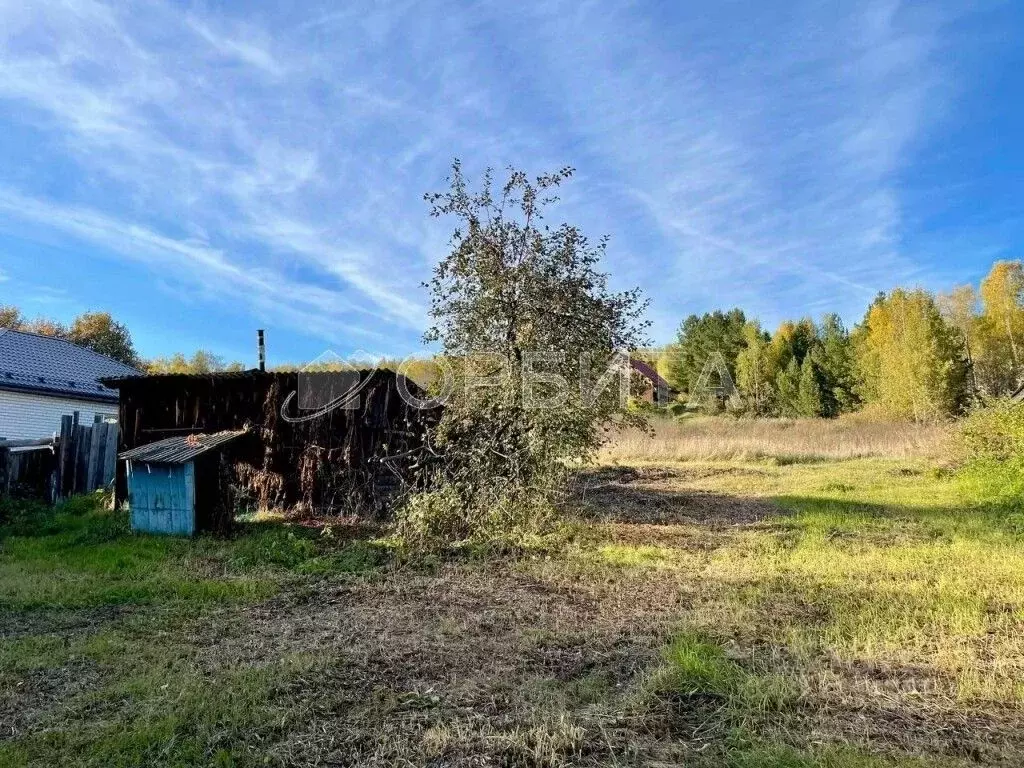 Участок в Тюменская область, Тюменский муниципальный округ, с. Кулига  ... - Фото 2