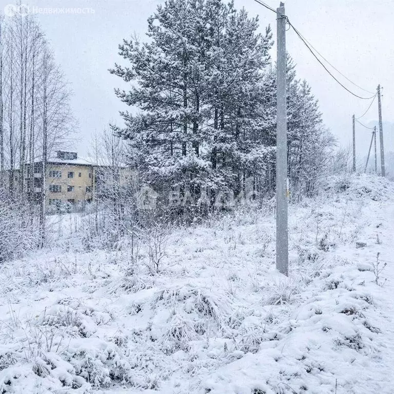 Участок в Всеволожский район, Бугровское городское поселение, деревня ... - Фото 1