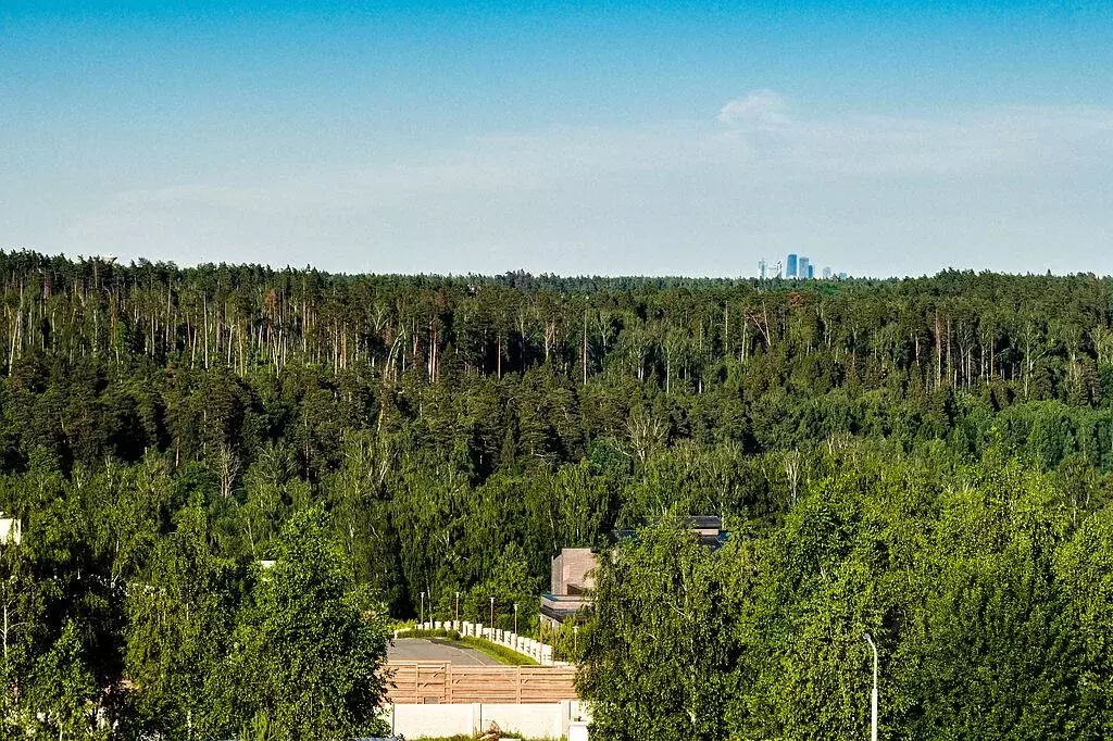 Дом в Московская область, Красногорск городской округ, д. Тимошкино, ... - Фото 1