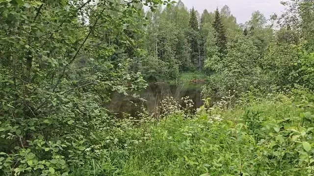 Участок 20 га (ИЖС) - Фото 1
