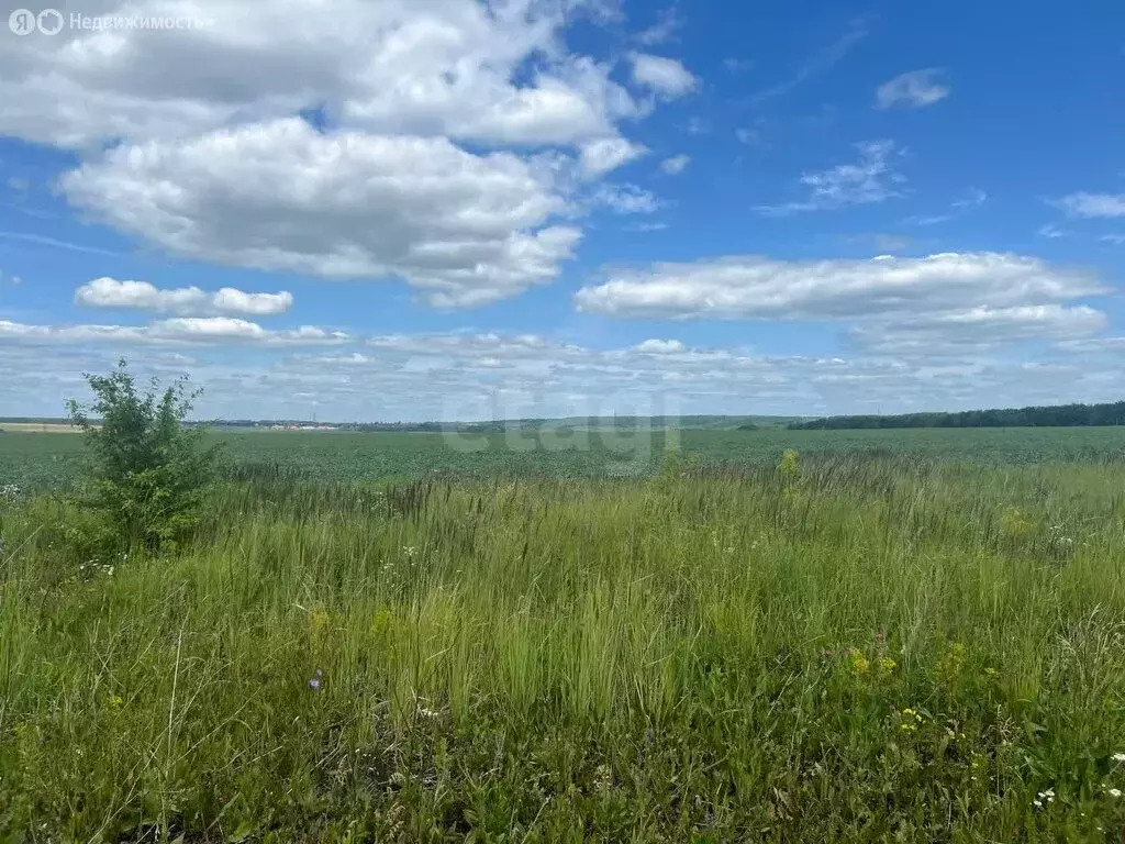 Участок в Лямбирский район, Пензятское сельское поселение, село ... - Фото 1