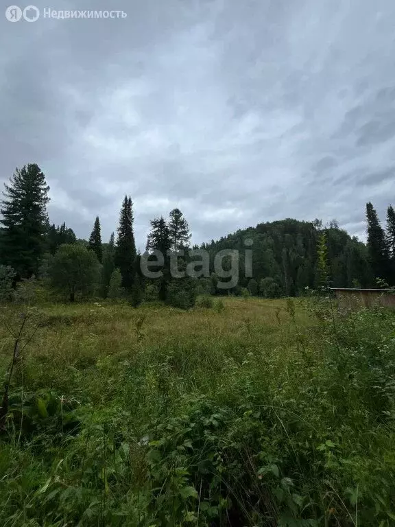 Участок в Горно-Алтайск, улица Бочкарёвка (9.9 м) - Фото 0