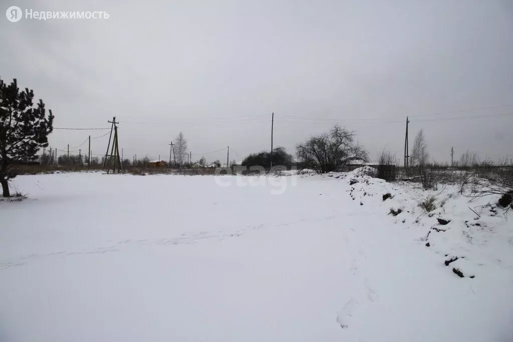 днт березовая роща