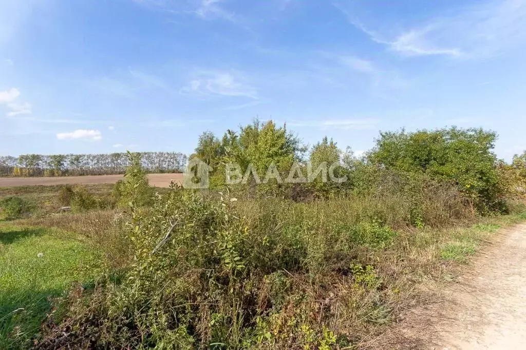 Участок в Владимирская область, Суздальский район, с. Новоалександрово ... - Фото 0
