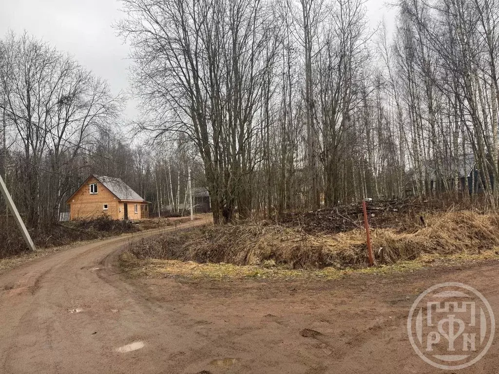 Участок в Ленинградская область, Ломоносовский район, Пениковское ... - Фото 1