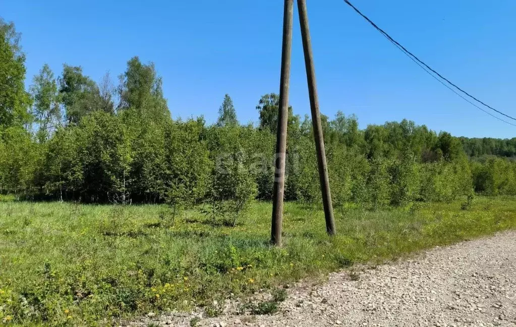 Участок в Калужская область, Боровский муниципальный округ, Совьяки ... - Фото 1
