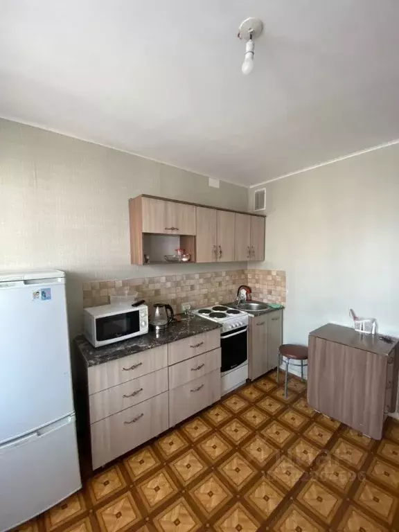 Студия Алтайский край, Барнаул ул. Чеглецова, 62 (22.5 м) - Фото 1