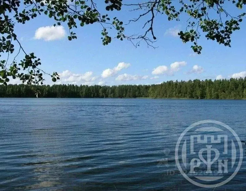 Участок в Ленинградская область, Выборгский район, Каменногорское ... - Фото 0