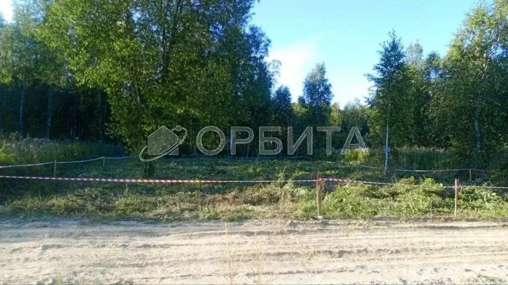 Участок в Тюменская область, Нижнетавдинский муниципальный округ, ... - Фото 2