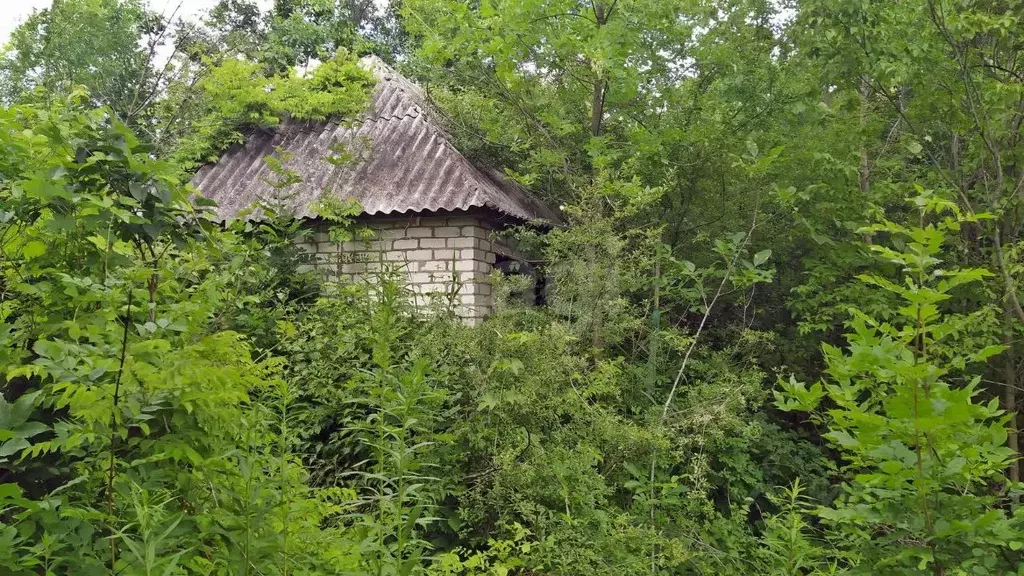 Участок в Ставропольский край, Ставрополь Железнодорожник СТ,  (4.0 ... - Фото 1