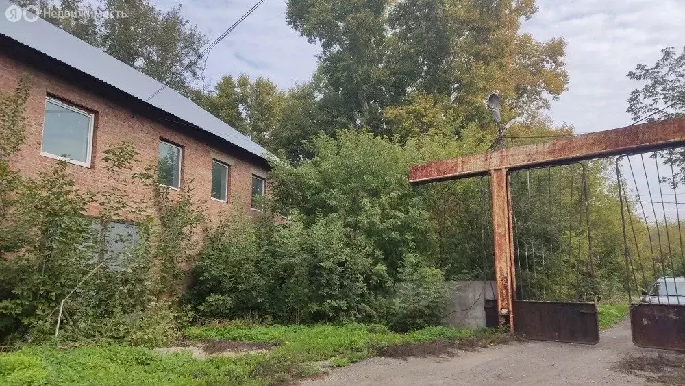 Помещение свободного назначения (598 м) - Фото 2