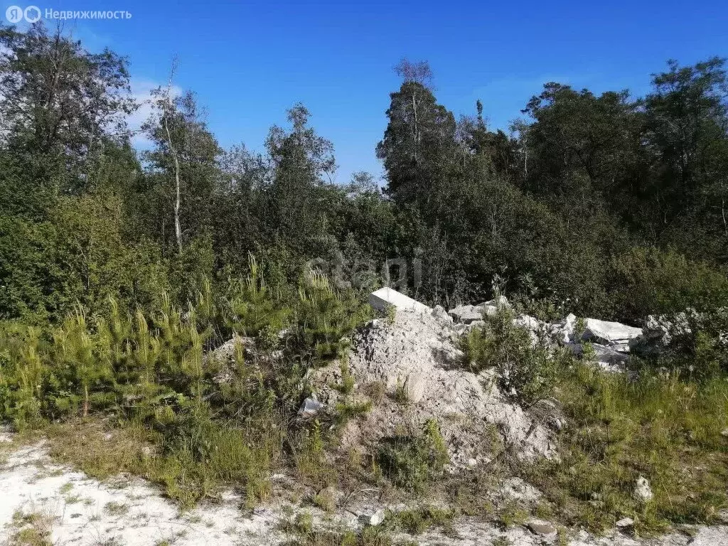Участок в Кыштым, Парковая улица (10.7 м) - Фото 1