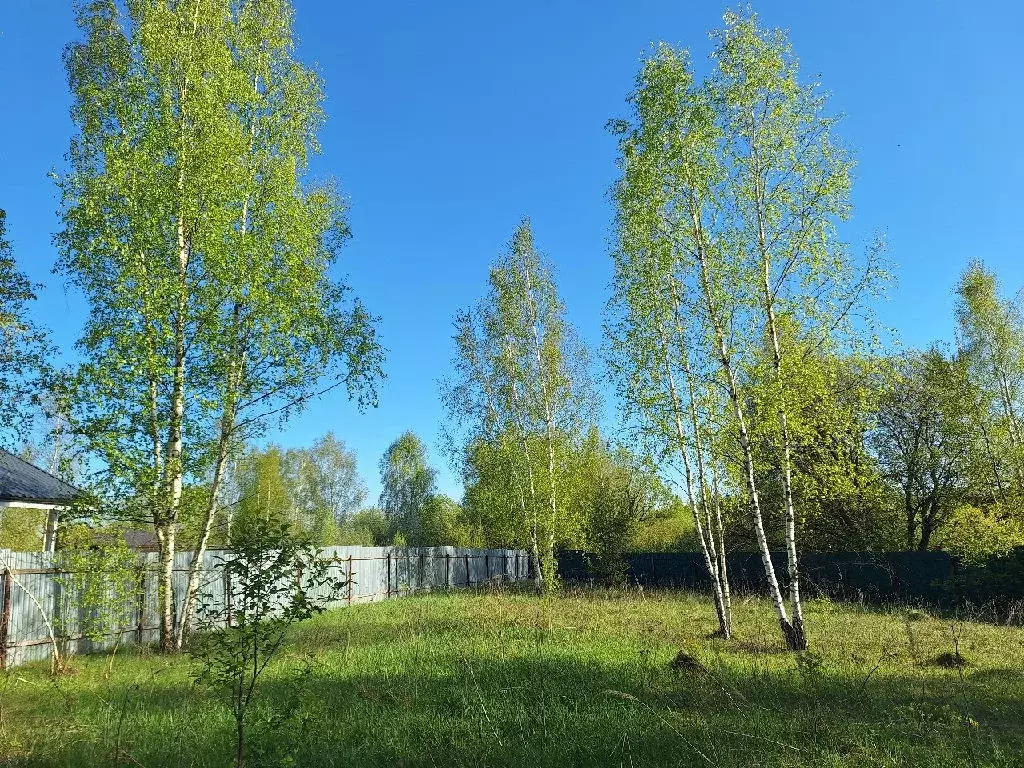 Продается участок в СНТ Клен-1 - Фото 0