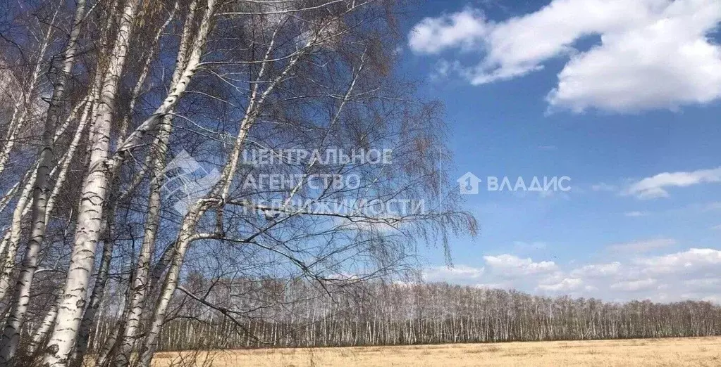 Участок в Рязанская область, Рязанский район, Дядьковское с/пос, д. ... - Фото 0
