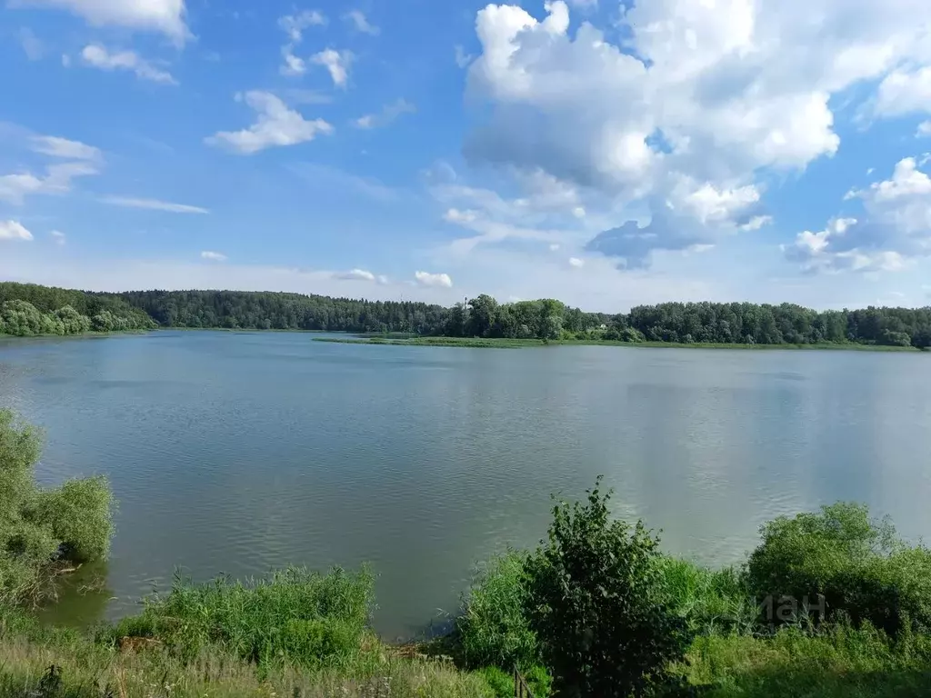 Участок в Московская область, Клин городской округ, д. Синьково  (7.0 ... - Фото 1