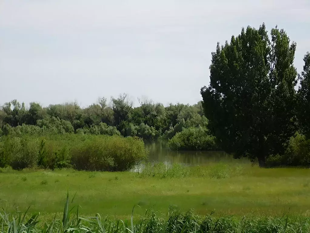 Дом в Астраханская область, Наримановский район, Вымпел садовое ... - Фото 1