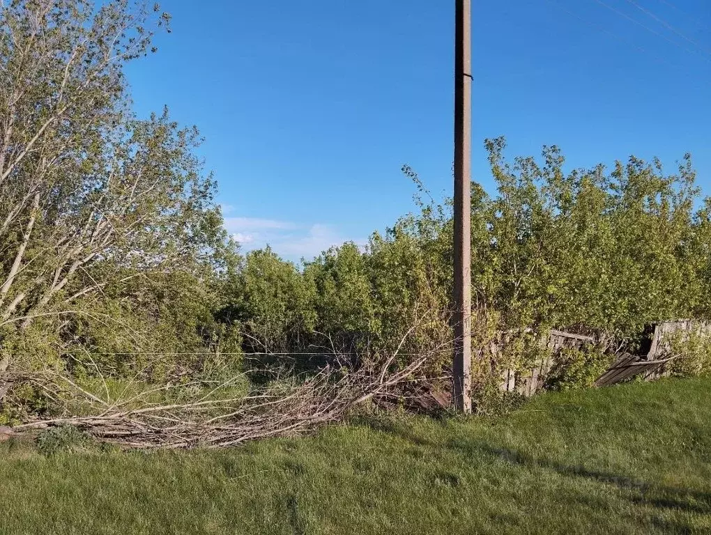 Участок в Башкортостан, Бакалинский район, Старокостеевский сельсовет, ... - Фото 1