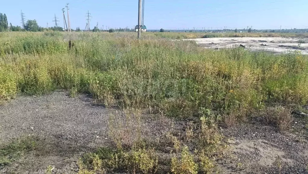 Участок в Саратовская область, Балашовский район, Хоперское ... - Фото 1