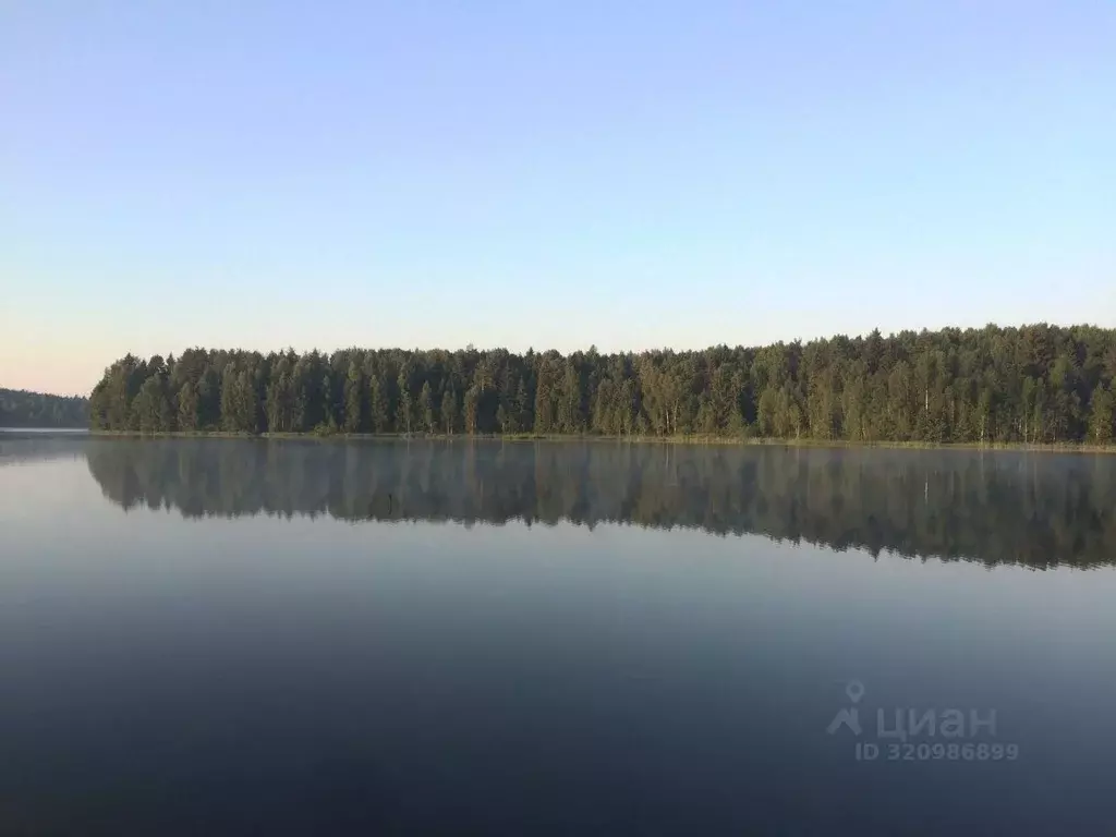 Участок в Владимирская область, Киржачский муниципальный округ, ... - Фото 0