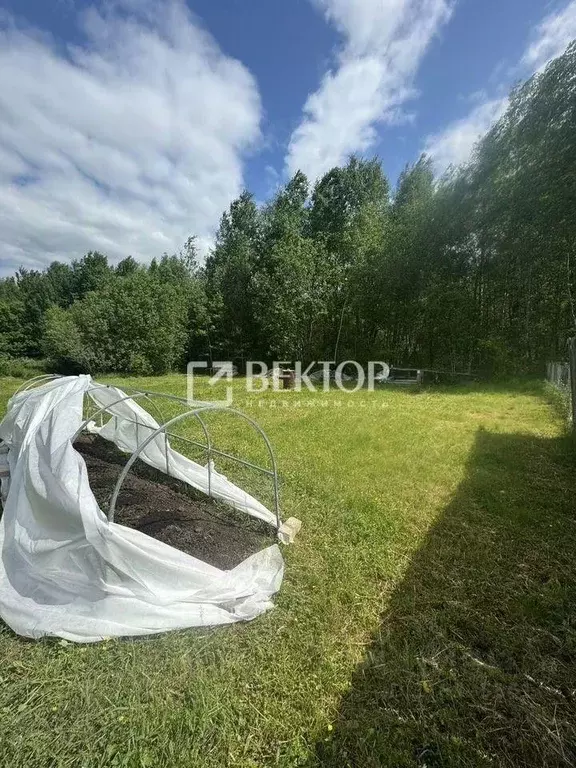Участок в Ивановская область, Иваново  (6.0 сот.) - Фото 0