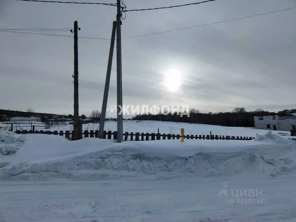 Участок в Кемеровская область, Кемеровский район, с. Андреевка ул. ... - Фото 0