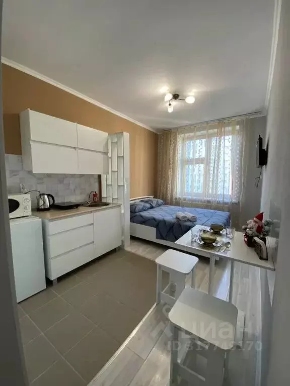 Студия Московская область, Красногорск ул. Авангардная, 8 (19.0 м) - Фото 0