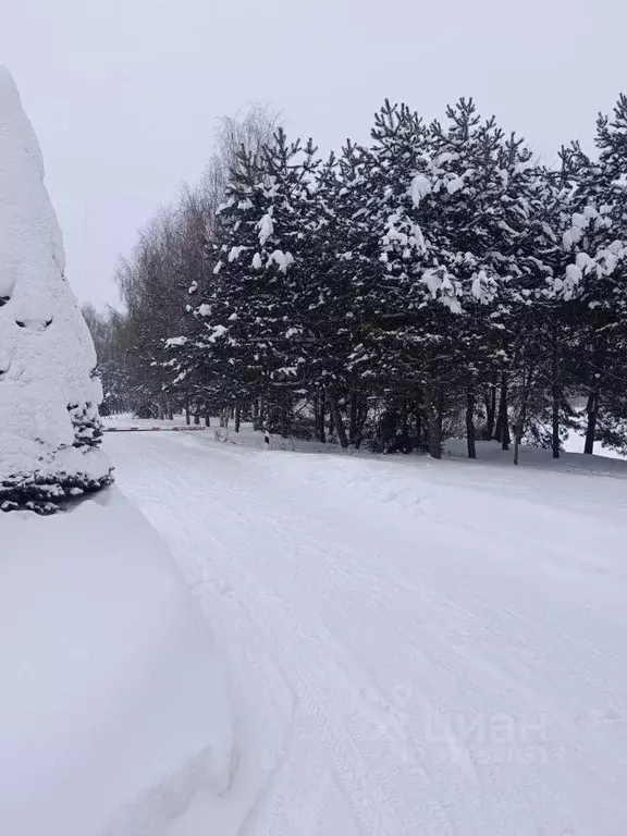 Коттедж в Тверская область, Тверь Твериводицкая ул., 2 (407 м) - Фото 2