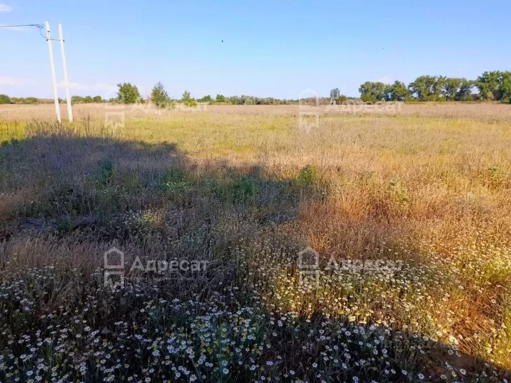 Участок в Волгоградская область, Среднеахтубинский район, Красное ... - Фото 1