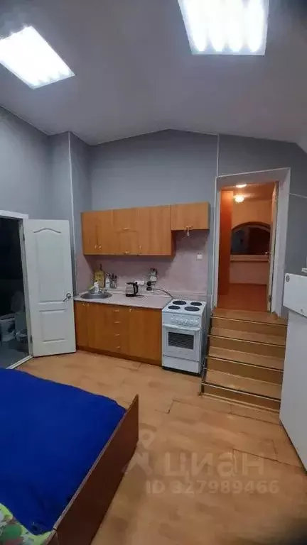 Студия Пермский край, Лысьва ул. Смышляева, 33 (33.0 м) - Фото 2