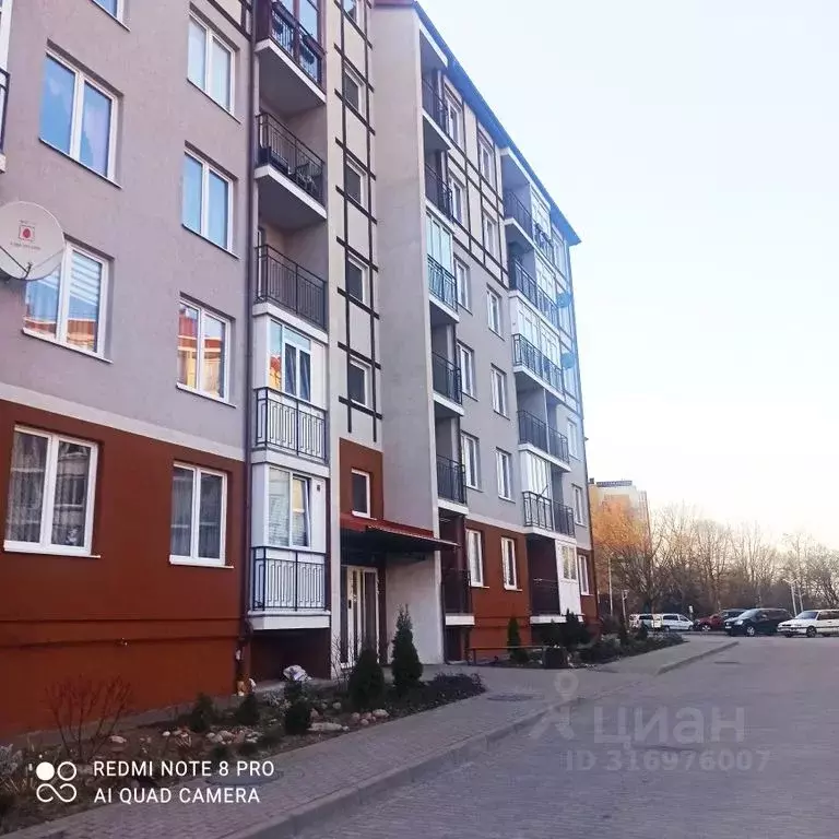 1-к кв. Калининградская область, Светлогорск Тихая ул., 8 (32.0 м) - Фото 0