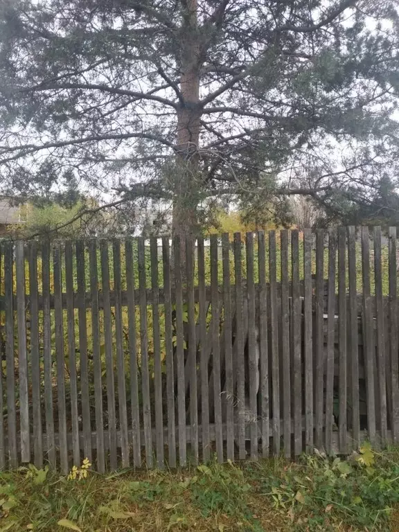 Участок в Архангельская область, Приморский муниципальный округ, Ильма ... - Фото 2