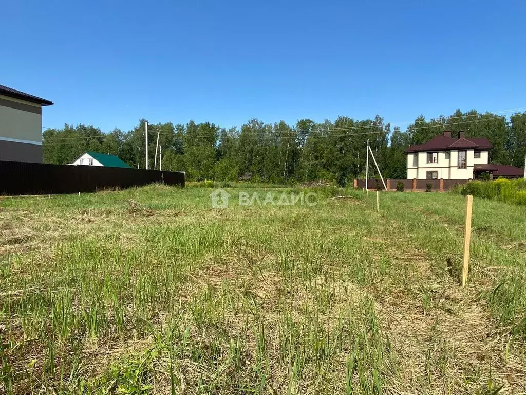 Участок в Пензенская область, Бессоновский район, с. Чемодановка ул. ... - Фото 0