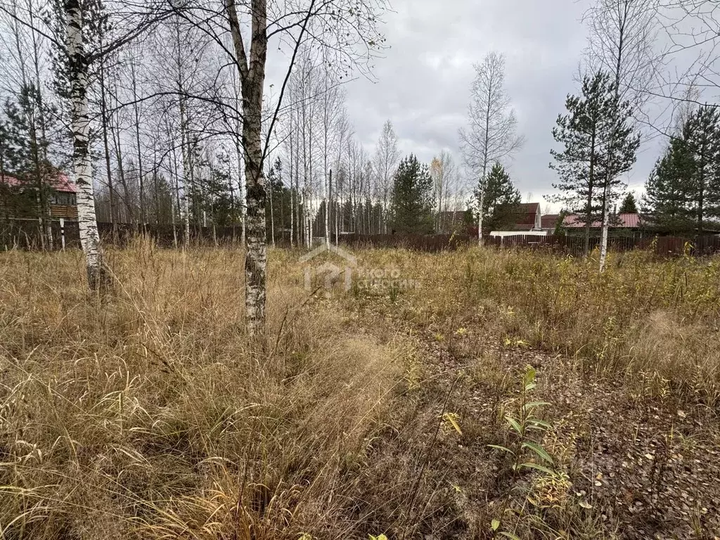 Участок в Ленинградская область, Кировский район, Мгинское городское ... - Фото 1