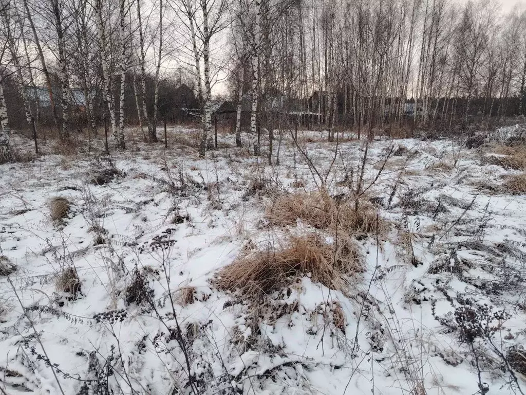 Участок в Московская область, Черноголовка городской округ, д. Беседы ... - Фото 1