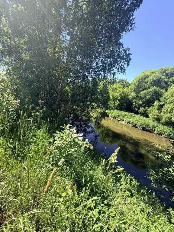 Участок в Московская область, Щелково городской округ, Море кп  (14.5 ... - Фото 1